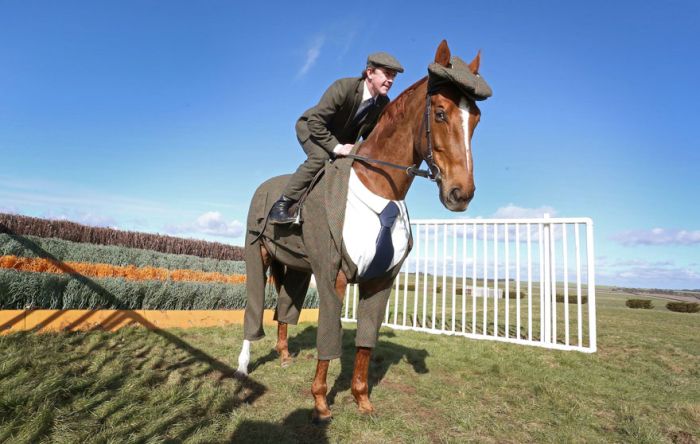 This Horse Looks Absolutely Stunning In A Three Piece Suit (4 pics)