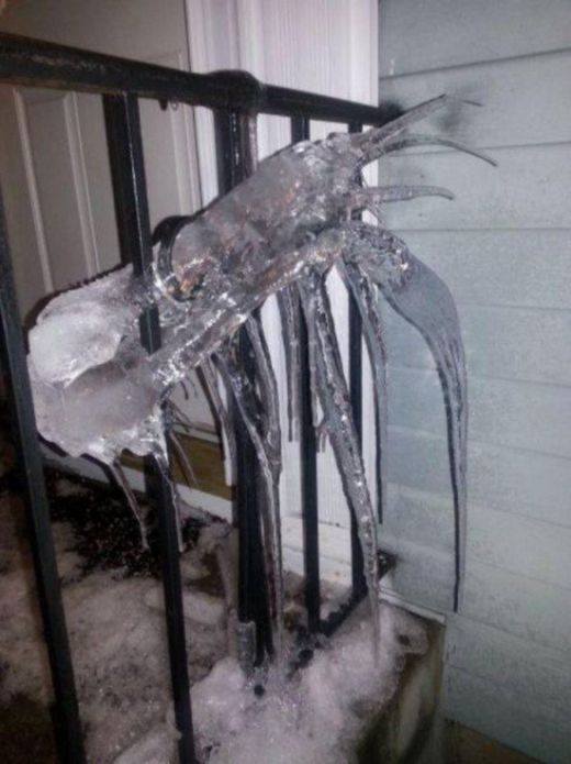 You're Going To Have To Look At These Weird And Wacky Pics At Least Twice (36 pics)