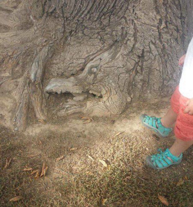 You're Going To Have To Look At These Weird And Wacky Pics At Least Twice (36 pics)