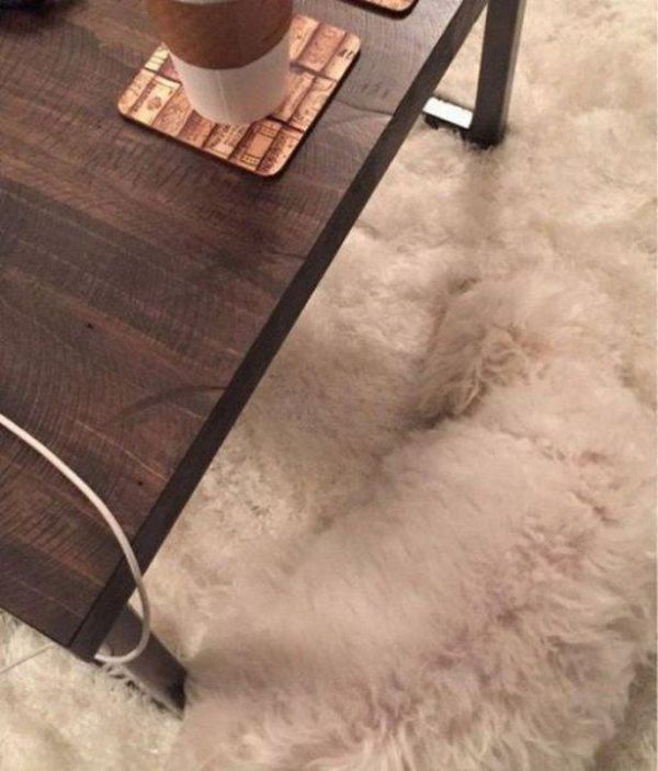 You're Going To Have To Look At These Weird And Wacky Pics At Least Twice (36 pics)