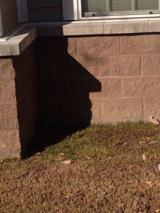 You're Going To Have To Look At These Weird And Wacky Pics At Least Twice (36 pics)