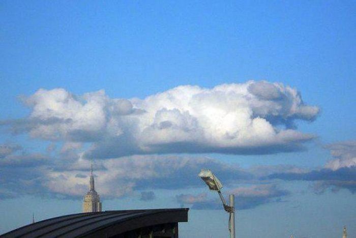 You're Going To Have To Look At These Weird And Wacky Pics At Least Twice (36 pics)
