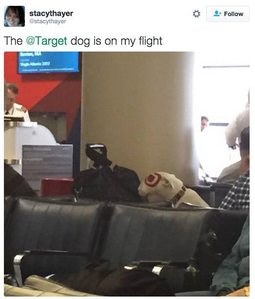 Random Celebrities Who Got Spotted On Airplanes (21 pics)