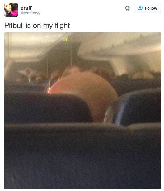 Random Celebrities Who Got Spotted On Airplanes (21 pics)