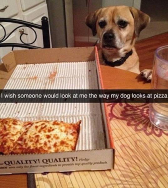 Funny And Clever Snapchats That Will Keep You Laughing All Day  (35 pics)