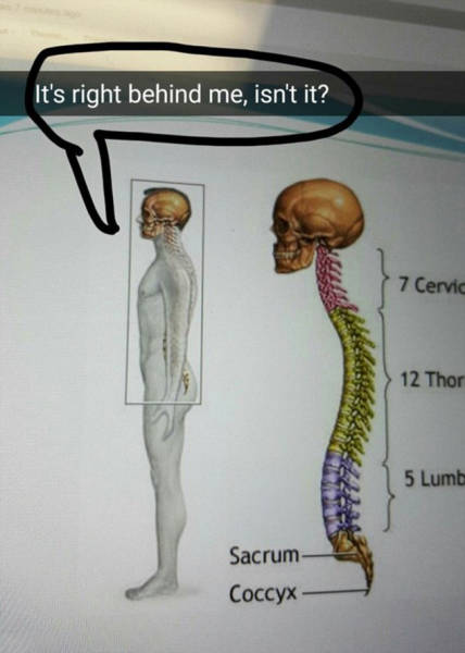 Funny And Clever Snapchats That Will Keep You Laughing All Day  (35 pics)
