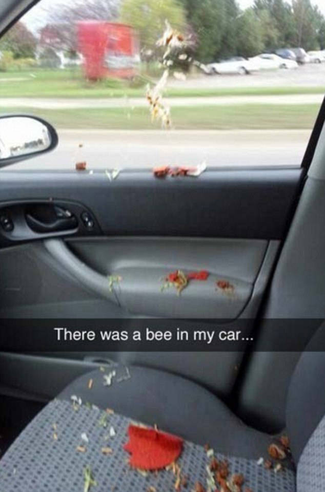 Funny And Clever Snapchats That Will Keep You Laughing All Day  (35 pics)