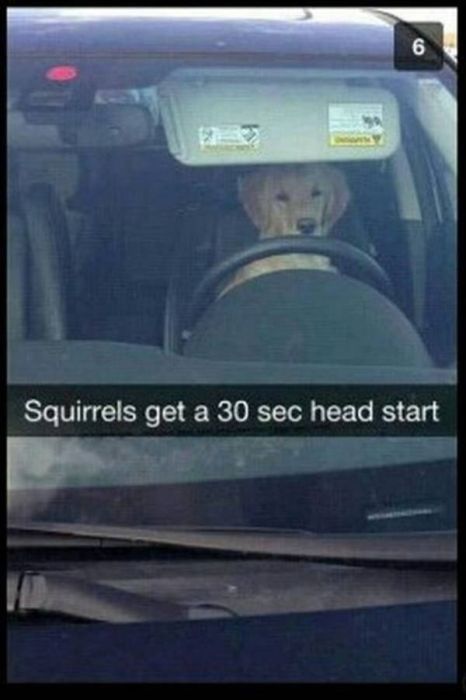 Funny And Clever Snapchats That Will Keep You Laughing All Day  (35 pics)