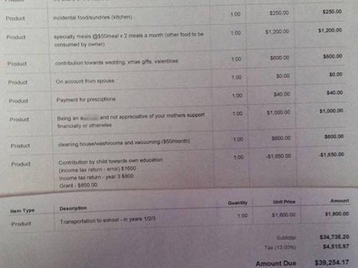 Mother Calls Out Her Ungrateful Son By Sending Him An Invoice (6 pics)