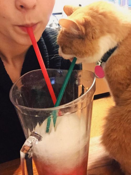 People Who Stepped Up And Nailed It On 7-Eleven's Bring Your Own Cup Day (25 pics)