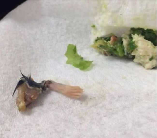 Why You Should Always Check Your Food Before Eating It (15 pics)