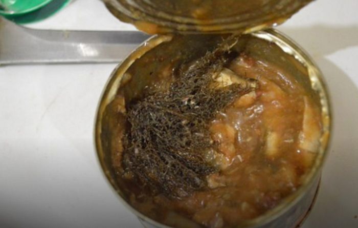 Why You Should Always Check Your Food Before Eating It (15 pics)