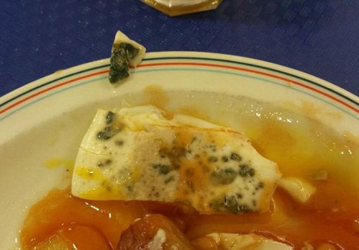 Soldiers From The UK Are Trying To Shame The Ministry Of Defense With These Photos (11 pics)