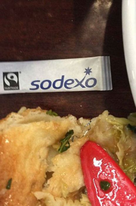 Soldiers From The UK Are Trying To Shame The Ministry Of Defense With These Photos (11 pics)