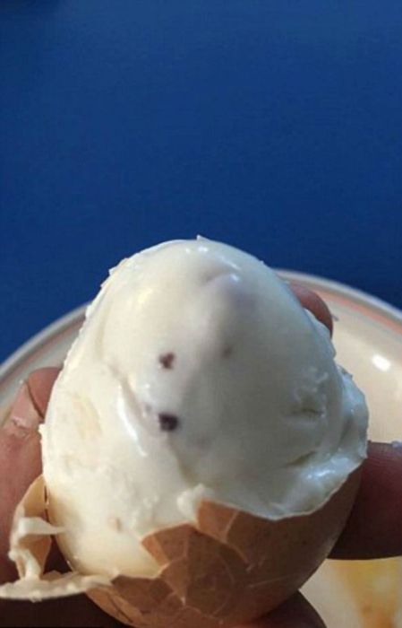 Soldiers From The UK Are Trying To Shame The Ministry Of Defense With These Photos (11 pics)