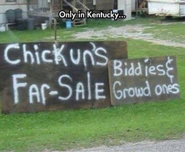 Strange And Hilarious Signs That Will Either Scare You Or Make You Laugh (40 pics)
