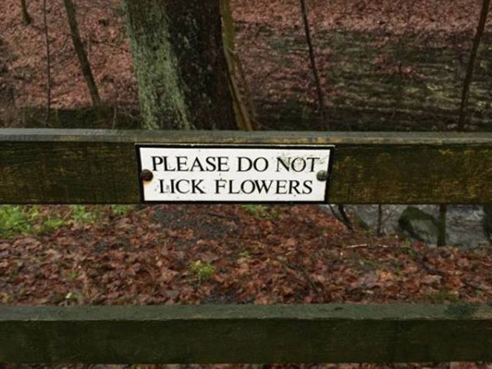 Strange And Hilarious Signs That Will Either Scare You Or Make You Laugh (40 pics)