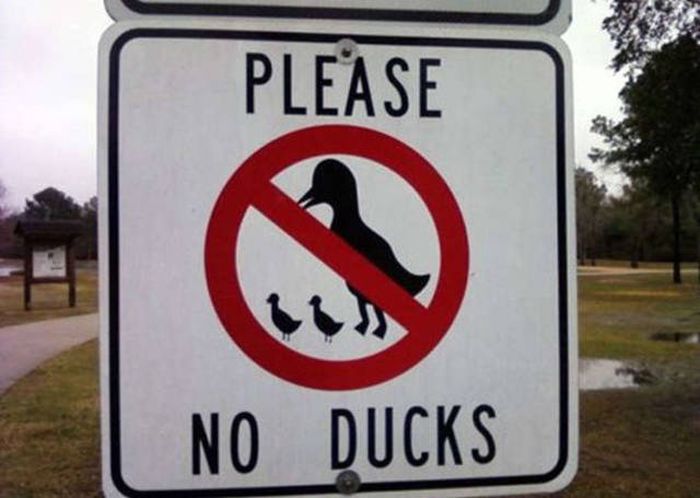 Strange And Hilarious Signs That Will Either Scare You Or Make You Laugh (40 pics)
