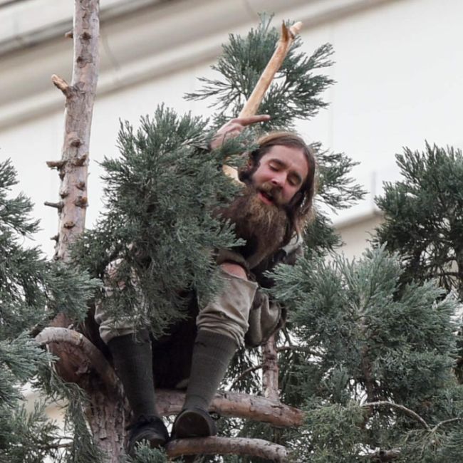 A Man In Seattle Has Climbed An 80-Foot Tree And He Won't Come Down (4 pics)