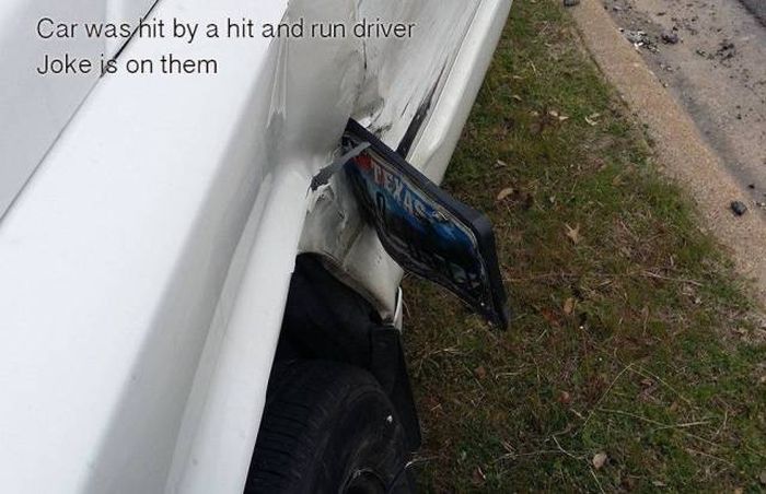 For Some People Failure Is The Only Option (51 pics)