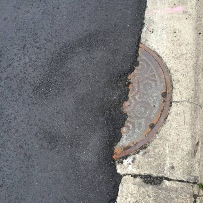For Some People Failure Is The Only Option (51 pics)