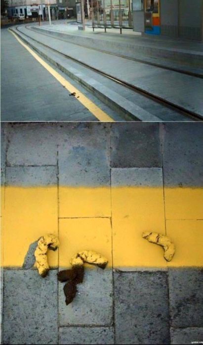 For Some People Failure Is The Only Option (51 pics)