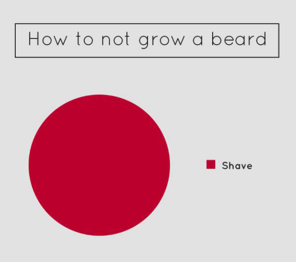 Hilarious Piecharts That Sum Up Just About Everything (13 pics)