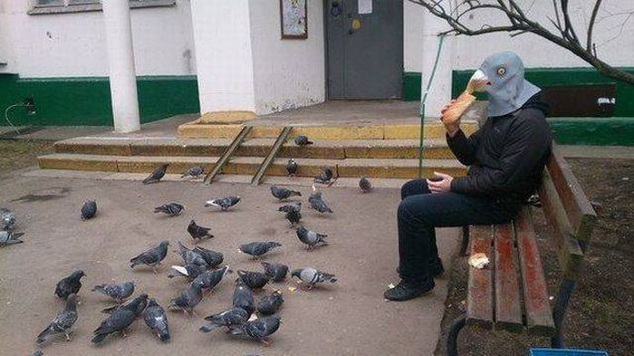 Acid Picdump (100 pics)