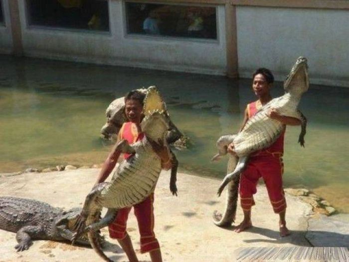 Acid Picdump (100 pics)