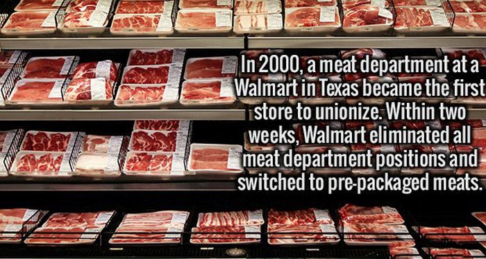 Fresh Facts That Will Make Your Brain Happy (19 pics)