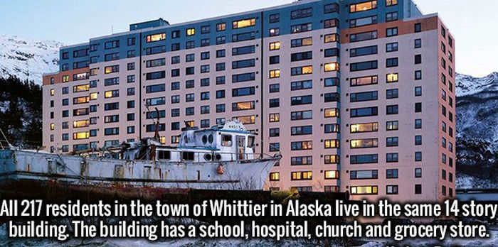 Fresh Facts That Will Make Your Brain Happy (19 pics)