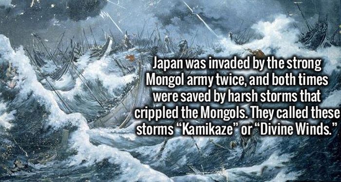 Fresh Facts That Will Make Your Brain Happy (19 pics)