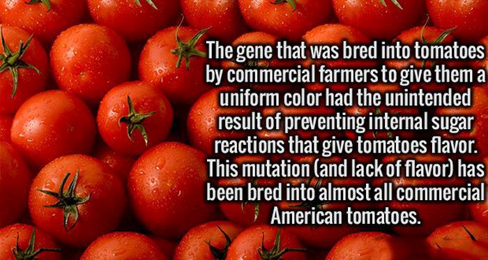 Fresh Facts That Will Make Your Brain Happy (19 pics)