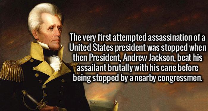 Fresh Facts That Will Make Your Brain Happy (19 pics)