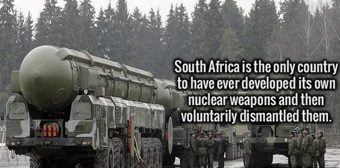Fresh Facts That Will Make Your Brain Happy (19 pics)