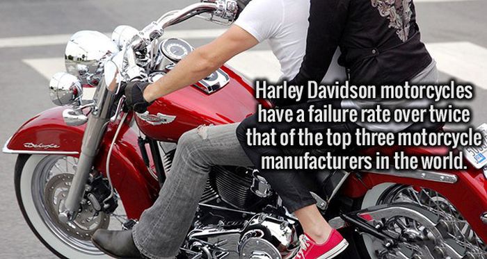 Fresh Facts That Will Make Your Brain Happy (19 pics)
