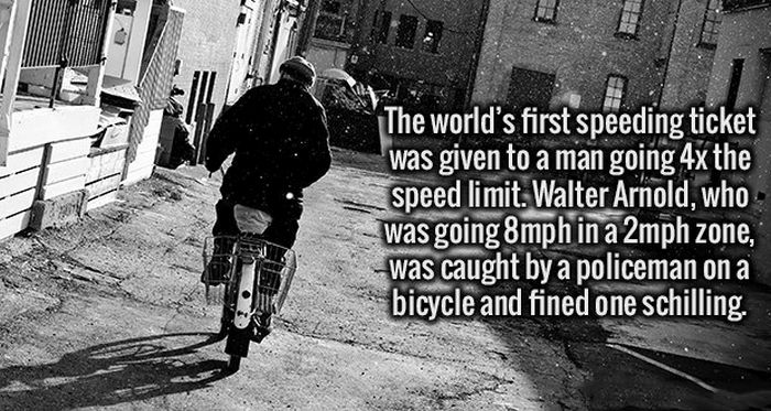 Fresh Facts That Will Make Your Brain Happy (19 pics)