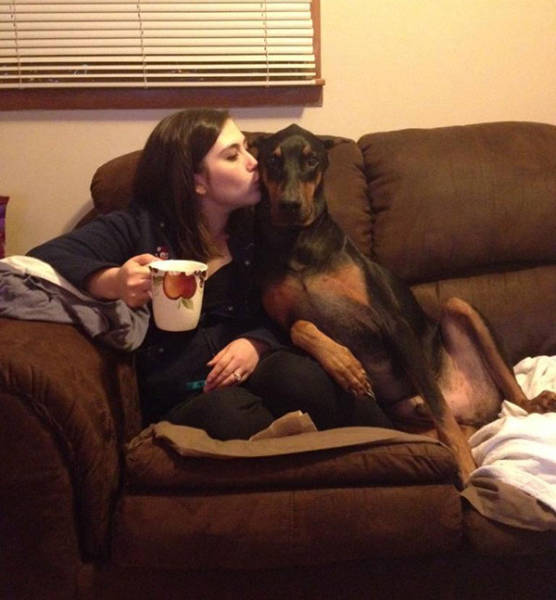 You Can Always Count On A Dog When You Need A Friend (35 pics)