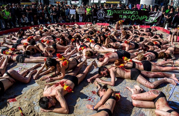 Animals Rights Activists Protest Bullfighting In Madrid (11 pics)