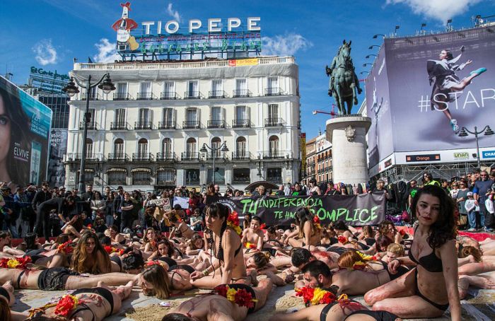 Animals Rights Activists Protest Bullfighting In Madrid (11 pics)