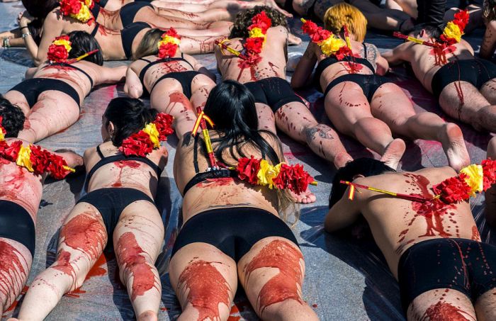 Animals Rights Activists Protest Bullfighting In Madrid (11 pics)