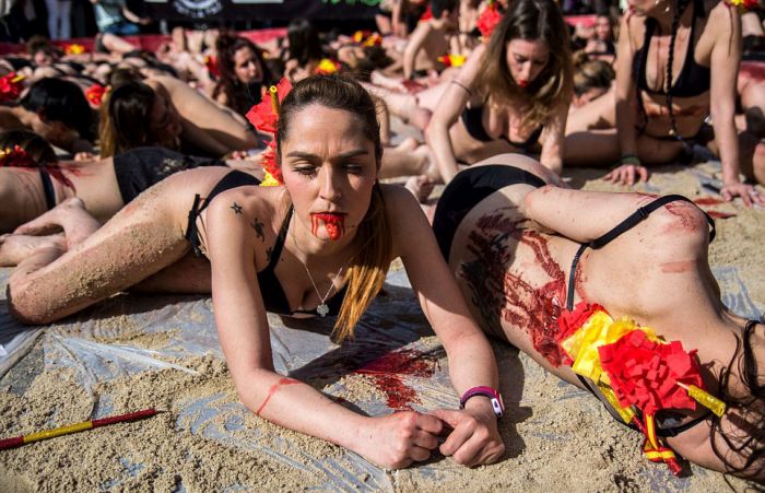 Animals Rights Activists Protest Bullfighting In Madrid (11 pics)