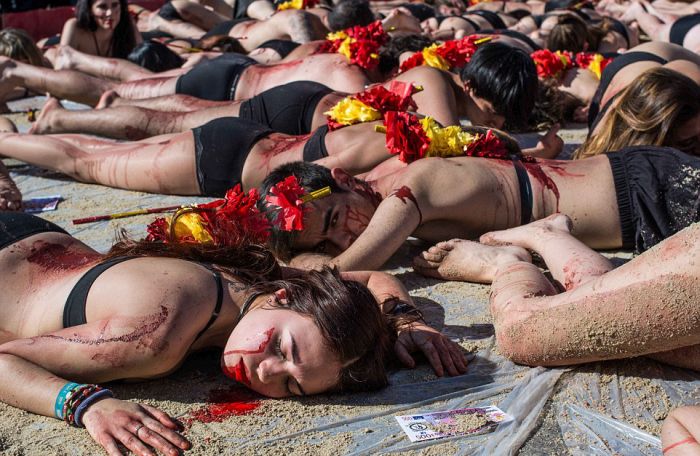 Animals Rights Activists Protest Bullfighting In Madrid (11 pics)