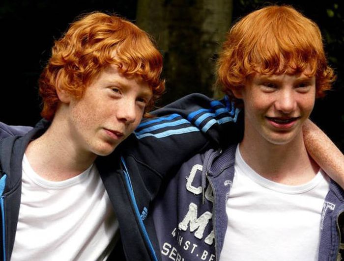 Fascinating Facts About Twins That Might Blow Your Mind (16 pics)