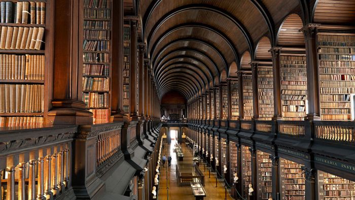 You Won't Believe How Many Books Are in This 300 Year Old Dublin Library (7 pics)