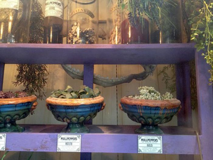 Hidden Tips And Tricks That Reveal The Secret Side Of Universal Studios Orlando (17 pics)