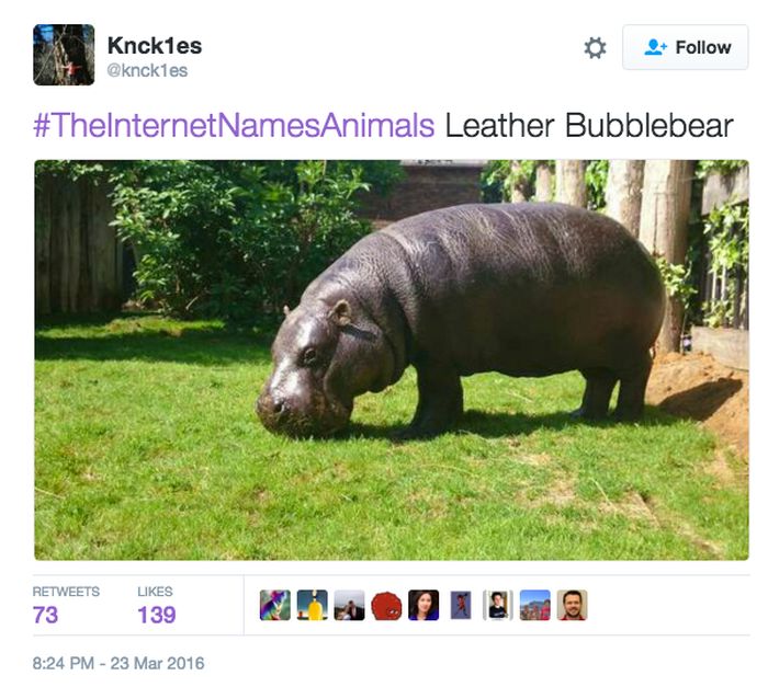 Animals Get New Names Courtesy Of The Internet (22 pics)