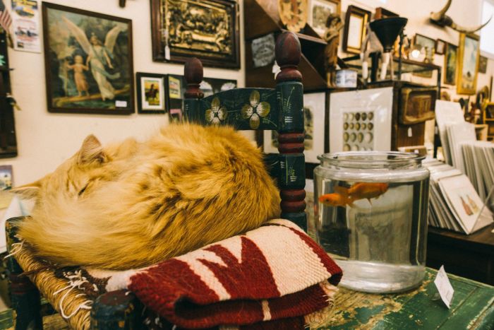 Road Trip Photos That Will Make You Want To Quit Your Job And Travel (73 pics)