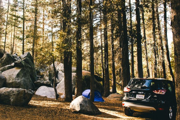 Road Trip Photos That Will Make You Want To Quit Your Job And Travel (73 pics)