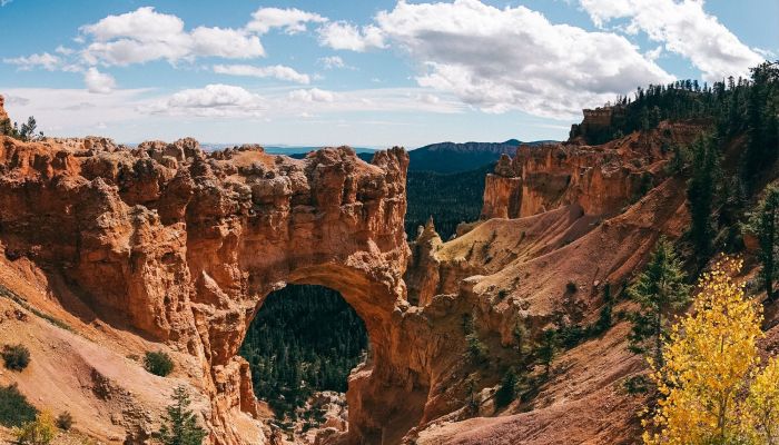 Road Trip Photos That Will Make You Want To Quit Your Job And Travel (73 pics)